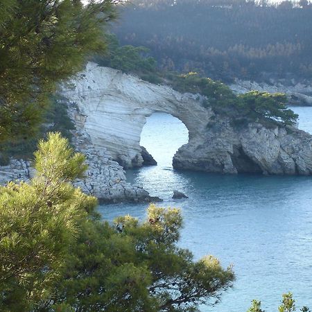 Uria Rooms & Suite B&B Vieste Bagian luar foto